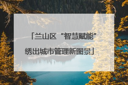 兰山区“智慧赋能”绣出城市管理新图景