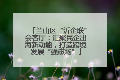 兰山区“沂企联”会客厅：汇聚民企出海新动能，打造跨境发展“强磁场”