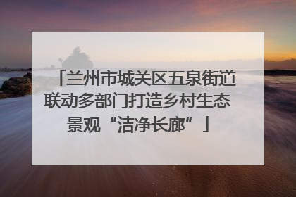 兰州市城关区五泉街道联动多部门打造乡村生态景观“洁净长廊”