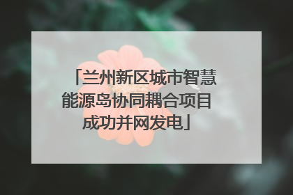 兰州新区城市智慧能源岛协同耦合项目成功并网发电