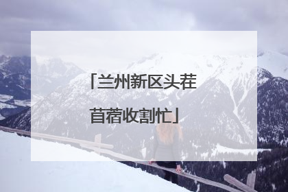 兰州新区头茬苜蓿收割忙
