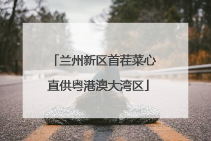 兰州新区首茬菜心直供粤港澳大湾区