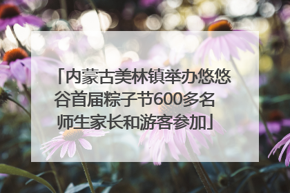 内蒙古美林镇举办悠悠谷首届粽子节600多名师生家长和游客参加