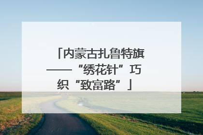 内蒙古扎鲁特旗——“绣花针”巧织“致富路”