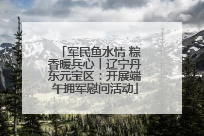 军民鱼水情 粽香暖兵心丨辽宁丹东元宝区：开展端午拥军慰问活动