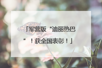军营版“迪丽热巴”！获全国表彰！