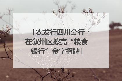 农发行四川分行：在叙州区擦亮“粮食银行”金字招牌