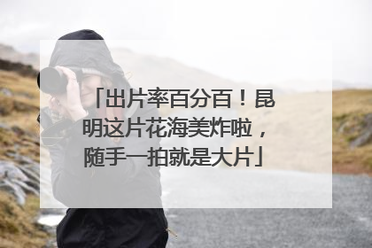 出片率百分百！昆明这片花海美炸啦，随手一拍就是大片