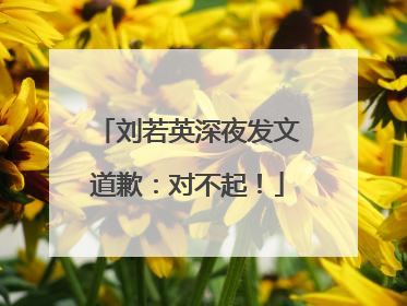 刘若英深夜发文道歉：对不起！