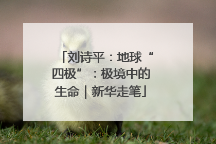 刘诗平：地球“四极”：极境中的生命｜新华走笔