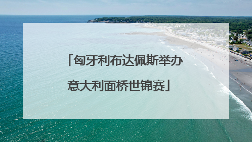 匈牙利布达佩斯举办意大利面桥世锦赛