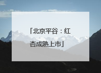 北京平谷：红杏成熟上市