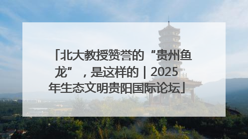 北大教授赞誉的“贵州鱼龙”，是这样的｜2025年生态文明贵阳国际论坛