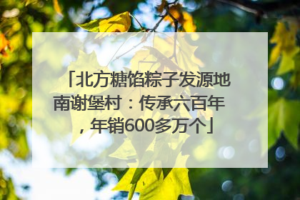 北方糖馅粽子发源地南谢堡村：传承六百年，年销600多万个