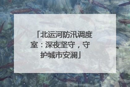北运河防汛调度室：深夜坚守，守护城市安澜