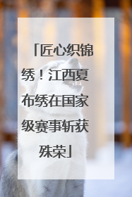 匠心织锦绣！江西夏布绣在国家级赛事斩获殊荣