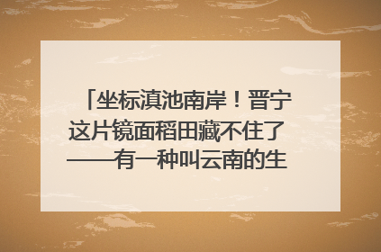 坐标滇池南岸！晋宁这片镜面稻田藏不住了——有一种叫云南的生活之365天