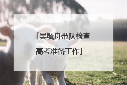 吴毓舟带队检查高考准备工作