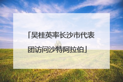 吴桂英率长沙市代表团访问沙特阿拉伯