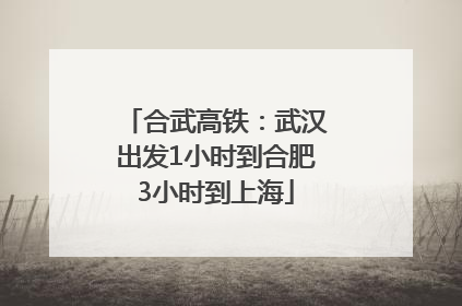 合武高铁：武汉出发1小时到合肥3小时到上海