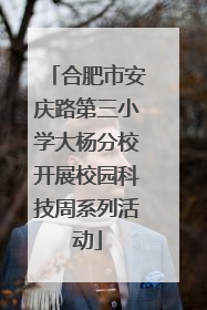 合肥市安庆路第三小学大杨分校开展校园科技周系列活动
