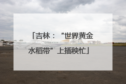 吉林：“世界黄金水稻带”上插秧忙