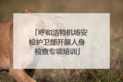 呼和浩特机场安检护卫部开展人身检查专项培训