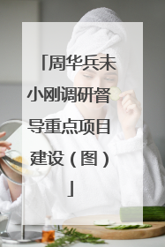 周华兵未小刚调研督导重点项目建设（图）