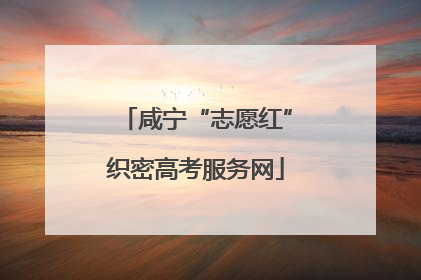 咸宁“志愿红”织密高考服务网