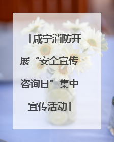 咸宁消防开展“安全宣传咨询日”集中宣传活动