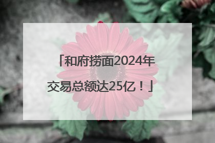 和府捞面2024年交易总额达25亿！