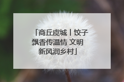 商丘虞城丨饺子飘香传温情 文明新风润乡村