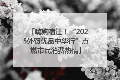嗨购宿迁！“2025外贸优品中华行”点燃市民消费热情