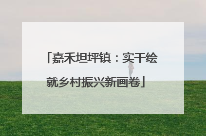 嘉禾坦坪镇：实干绘就乡村振兴新画卷