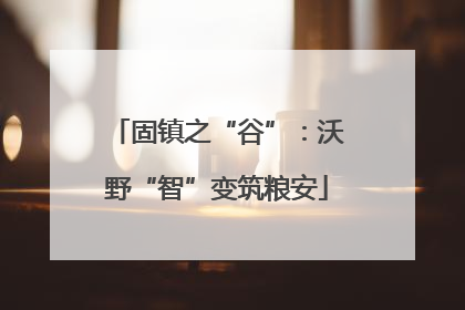 固镇之“谷”：沃野“智”变筑粮安