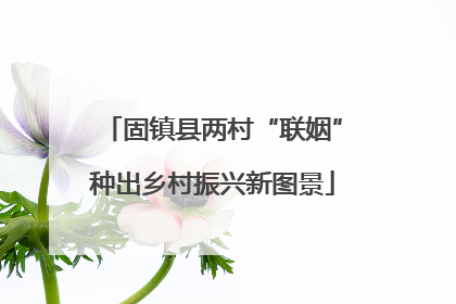 固镇县两村“联姻”种出乡村振兴新图景