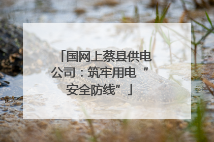 国网上蔡县供电公司：筑牢用电“安全防线”