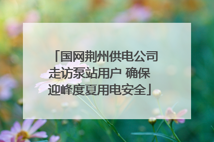国网荆州供电公司走访泵站用户 确保迎峰度夏用电安全