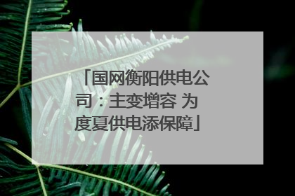 国网衡阳供电公司：主变增容 为度夏供电添保障