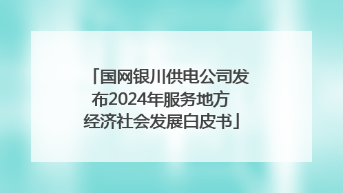 国网银川供电公司发布2024年服务地方经济社会发展白皮书