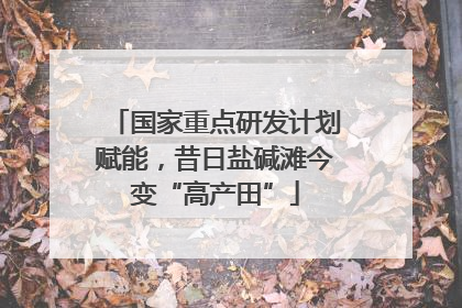 国家重点研发计划赋能，昔日盐碱滩今变“高产田”