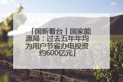 国新看台丨国家能源局：过去五年年均为用户节省办电投资约600亿元