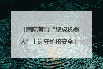 国际首台“壁虎机器人”上岗守护核安全