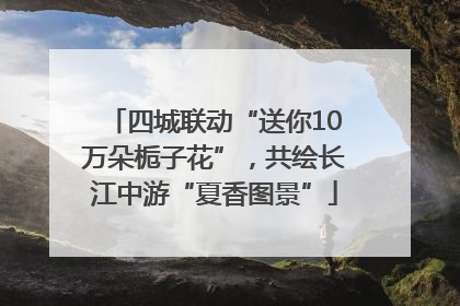 四城联动“送你10万朵栀子花”，共绘长江中游“夏香图景”