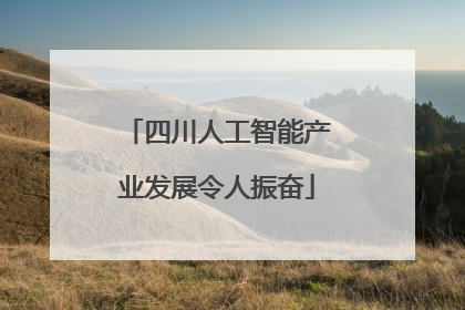 四川人工智能产业发展令人振奋