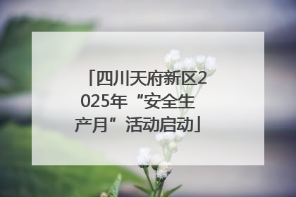 四川天府新区2025年“安全生产月”活动启动