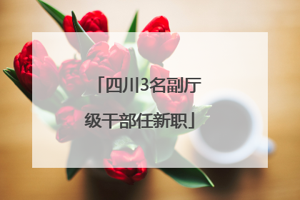 四川3名副厅级干部任新职