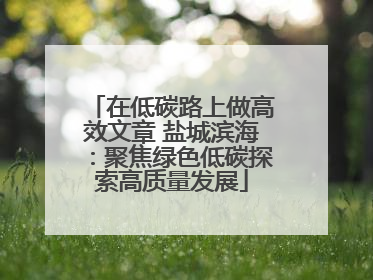 在低碳路上做高效文章 盐城滨海：聚焦绿色低碳探索高质量发展