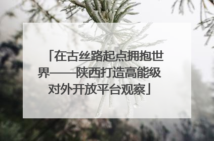 在古丝路起点拥抱世界——陕西打造高能级对外开放平台观察