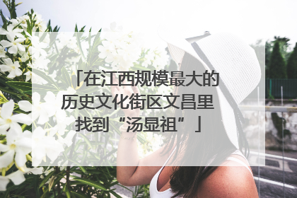 在江西规模最大的历史文化街区文昌里找到“汤显祖”